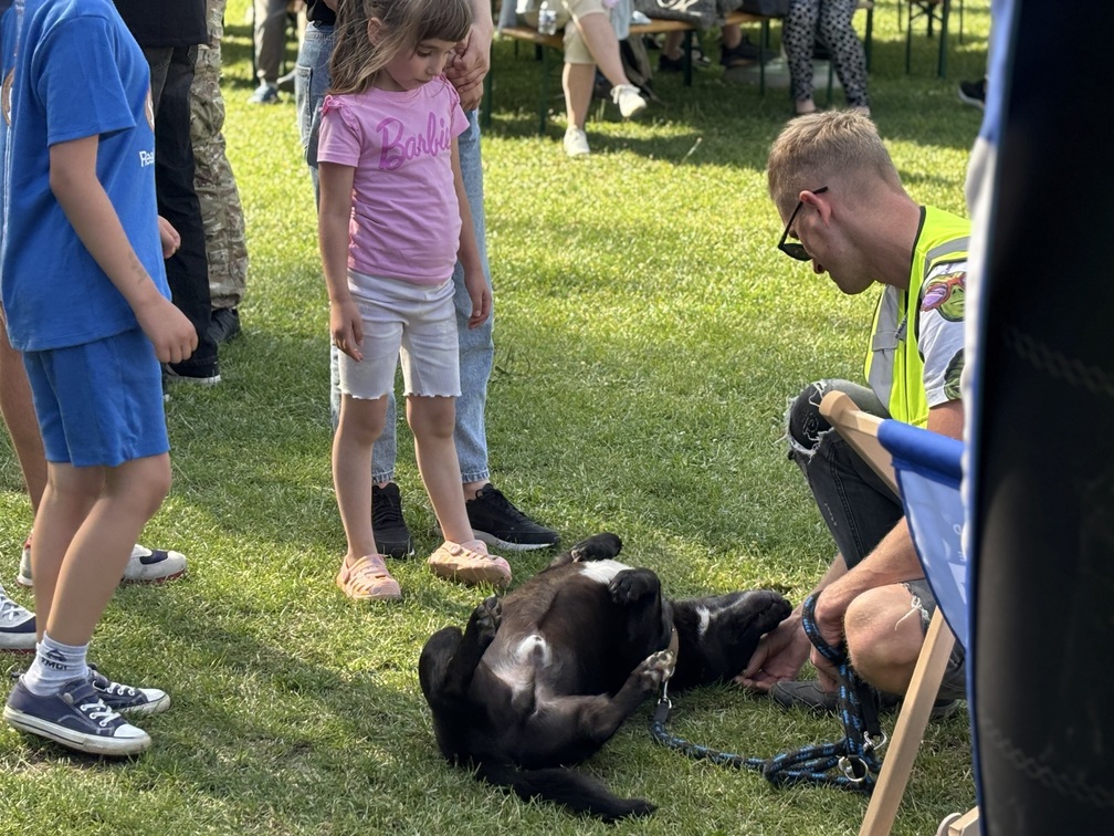 zdjęcia z imprezy
