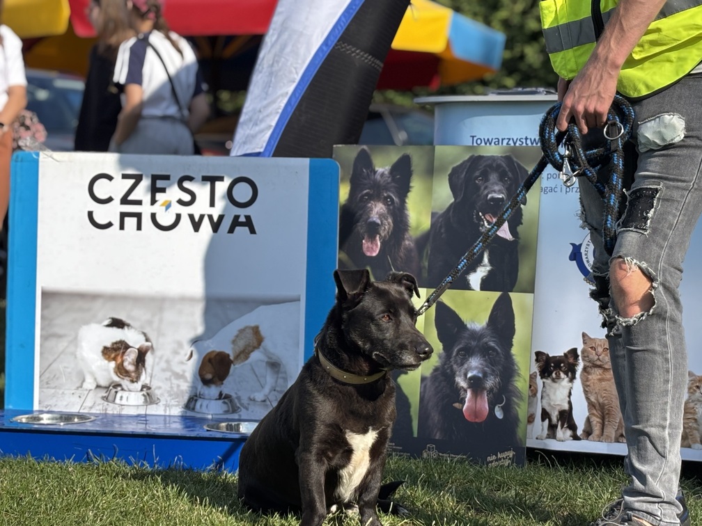 zdjęcia z imprezy